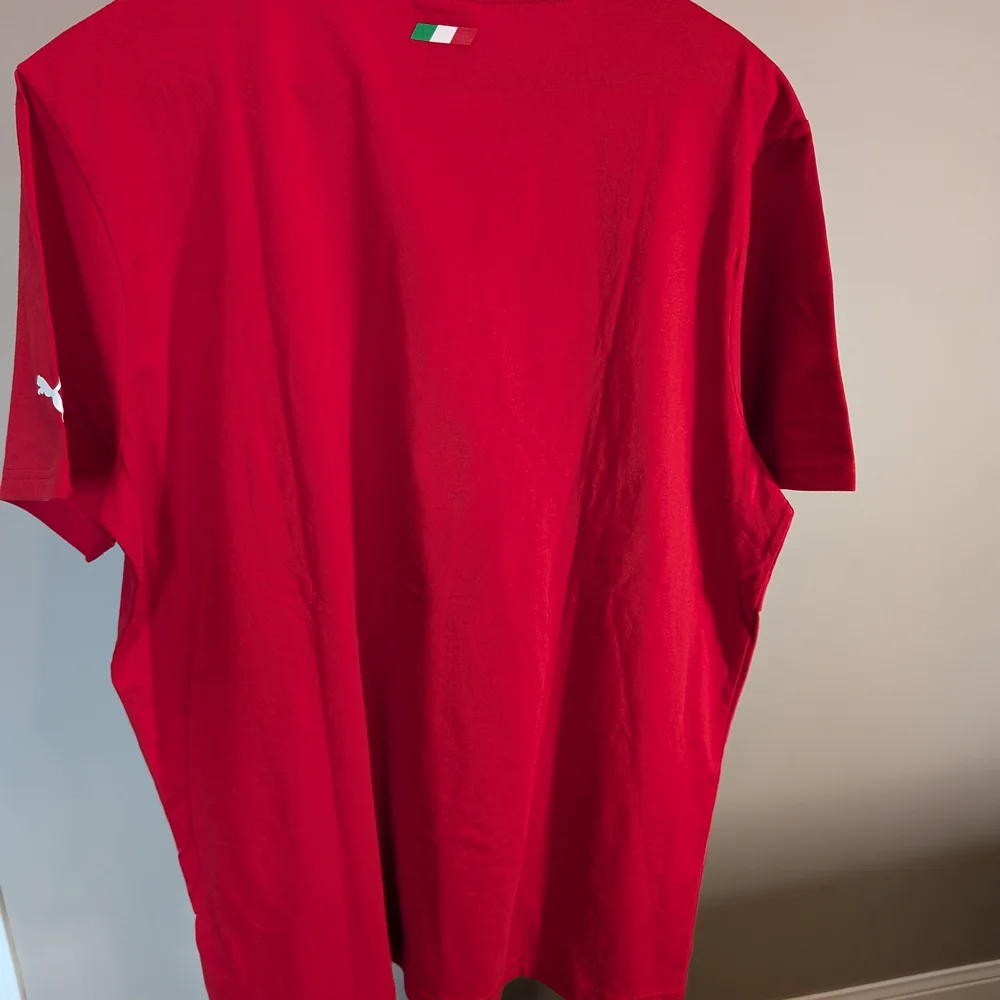 Puma Red Men's Short Sleeve Graphic Tee with Italian Stripe - Picture 4 of 16